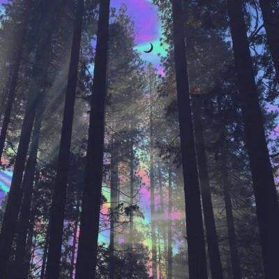 威尼斯官方网址下载