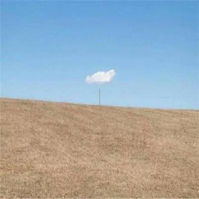 押注篮球的appapp下载