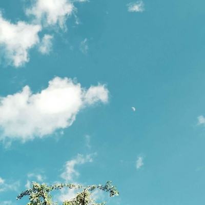 必博app下载地址